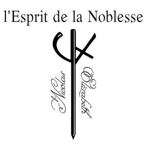 "Рыцарь-Ангел/Knight Angel" платье с рукавами-кейп